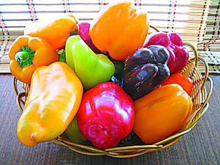 转<a target='_blank' href='/baike/index/id/816.html'>基因</a>食品.jpg