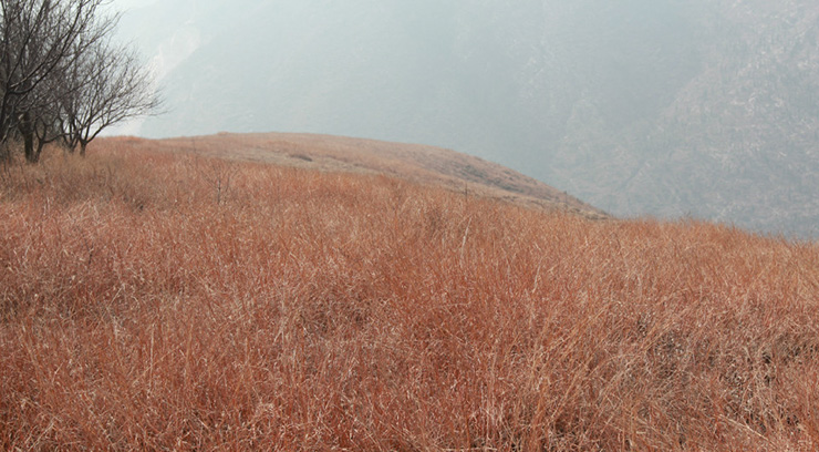 <a target='_blank' href='/baike/index/id/569.html'>荒山</a>.jpg