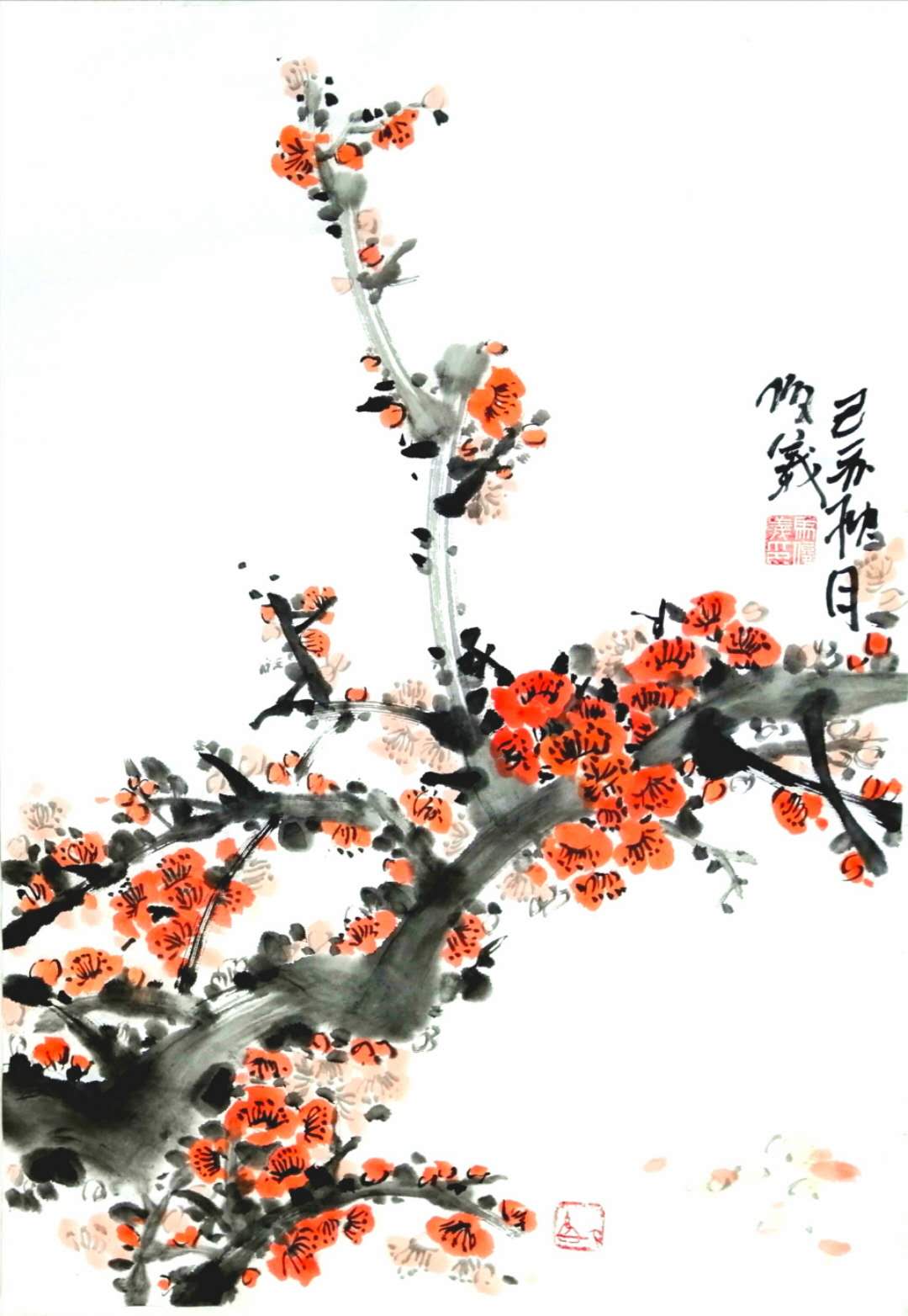 梅花1.jpg