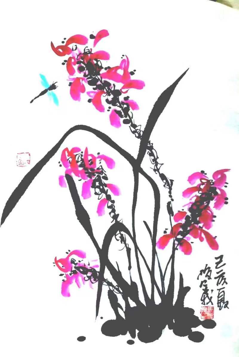兰花4.jpg