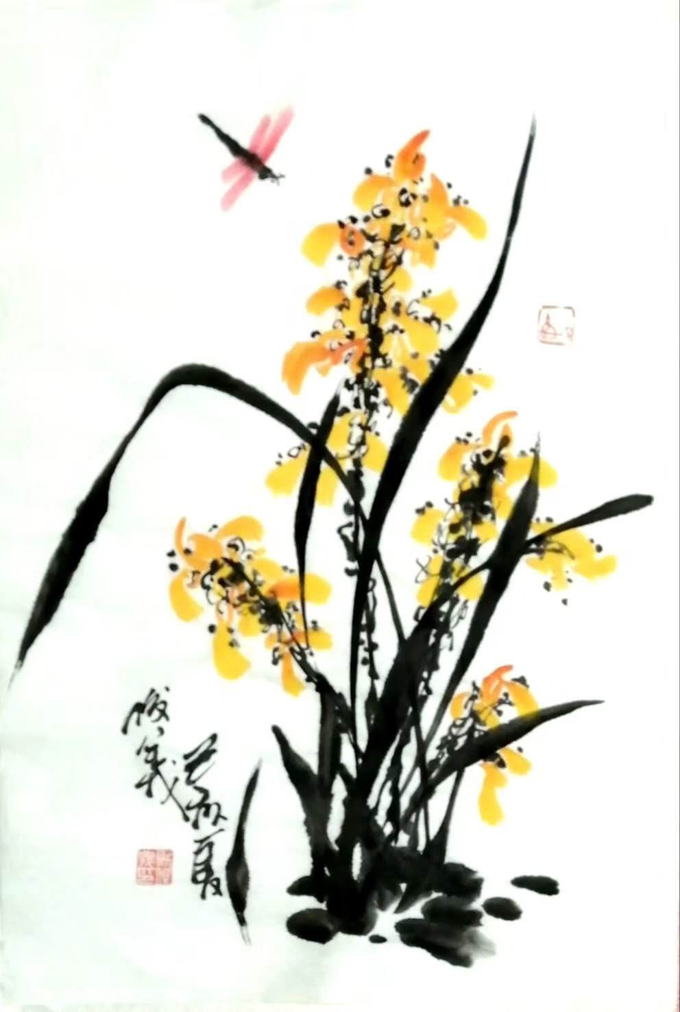 兰花3.jpg