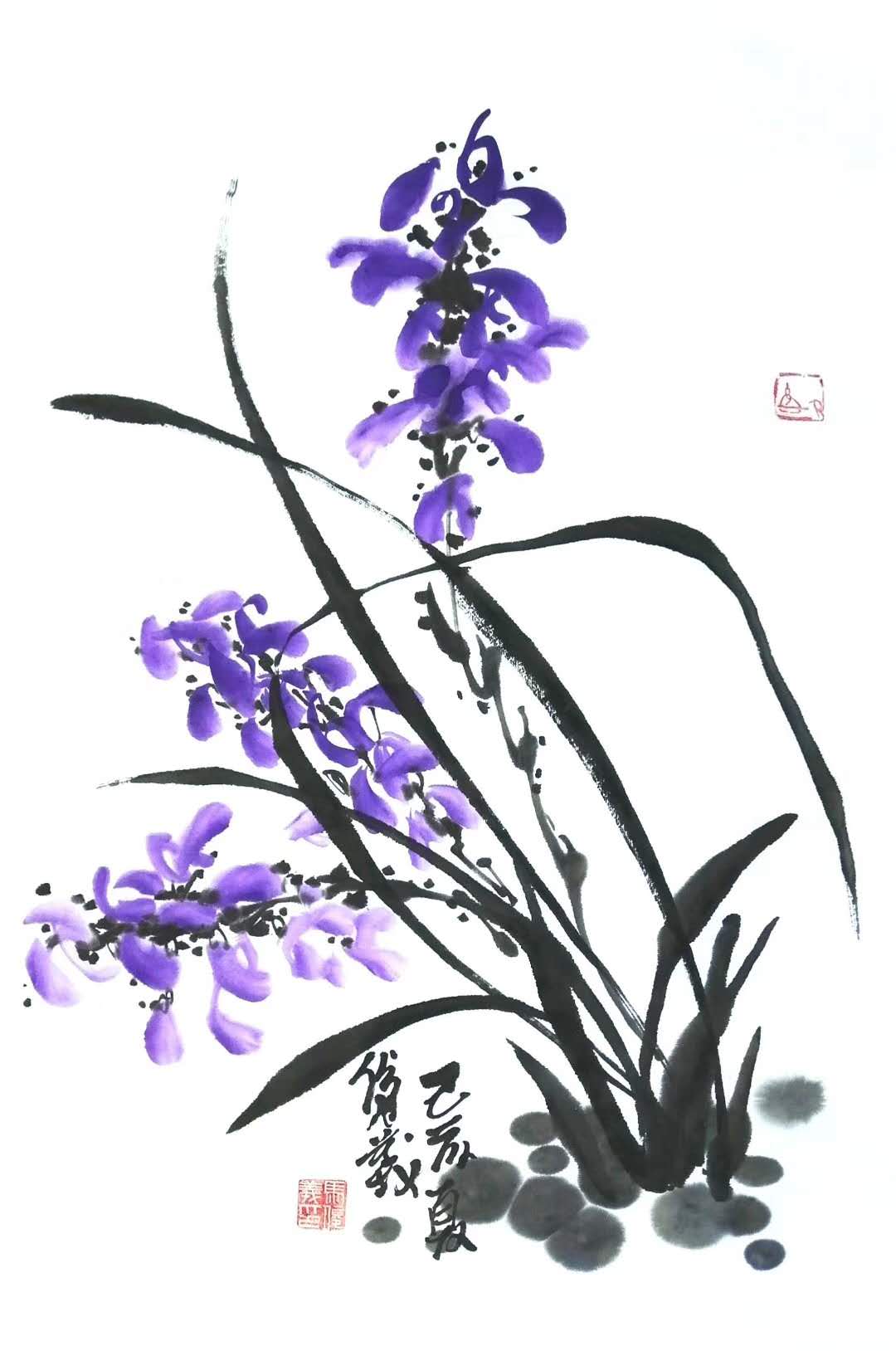 兰花2.jpg