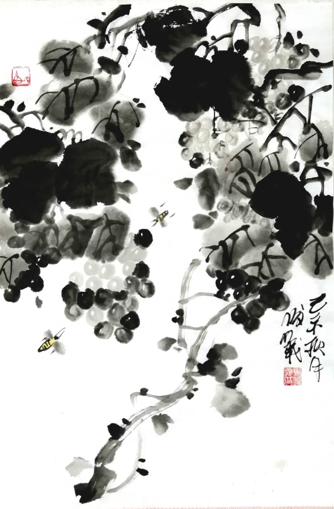 葡萄3.jpg