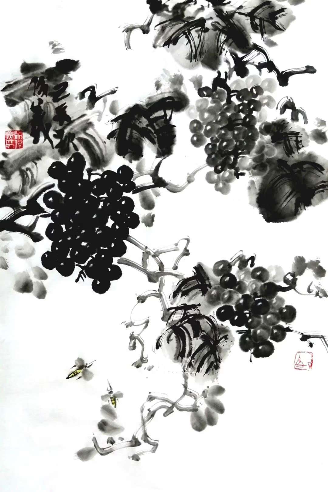 葡萄5.jpg