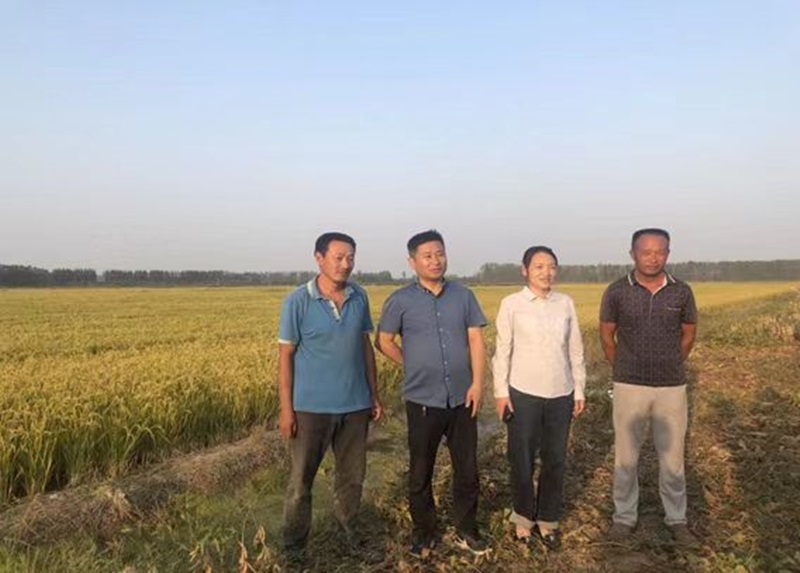 发展中的徐州“老堤北”米线